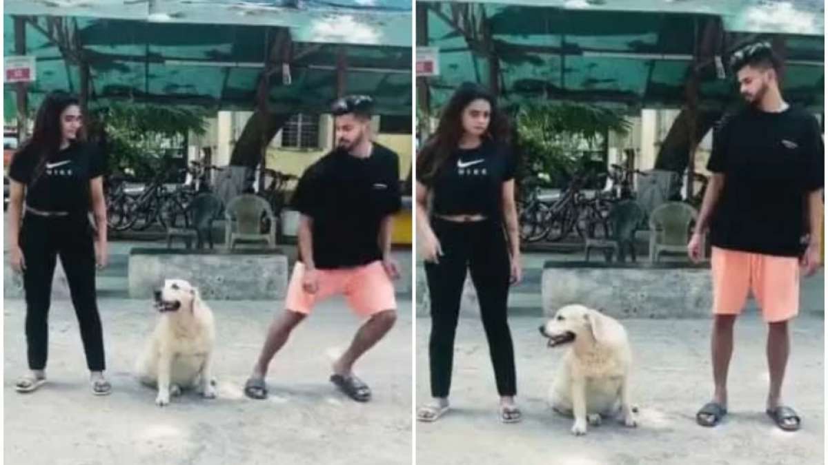 श्रेयस अय्यर को दिया उनकी ही डॉगी ने धोखा, सड़क पर बहन के साथ मिलकर कर रहे थे ये प्रयोग | Shreyas Iyer's dog runs on opposite direction while he and her