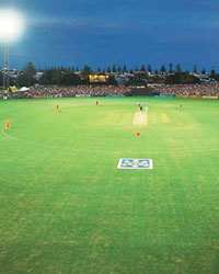 night cricket