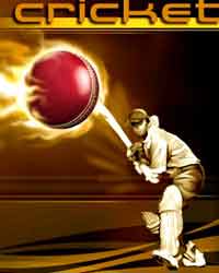 Cricket Cricket