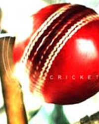 Cricket Cricket