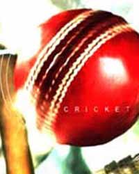 Cricket Cricket