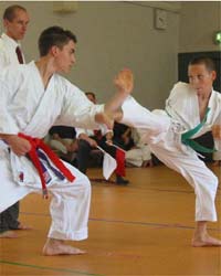 लंदन ओलंपिक 2012 में कराटे भी