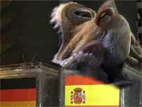 पॉल ऑक्टोपस बना भगवान!