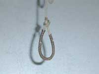 ब्रिटेन के पूर्व रग्बी स्टार ने आत्महत्या की