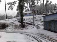 औली और देहरादून में शीतकालीन खेलों की तैयारी