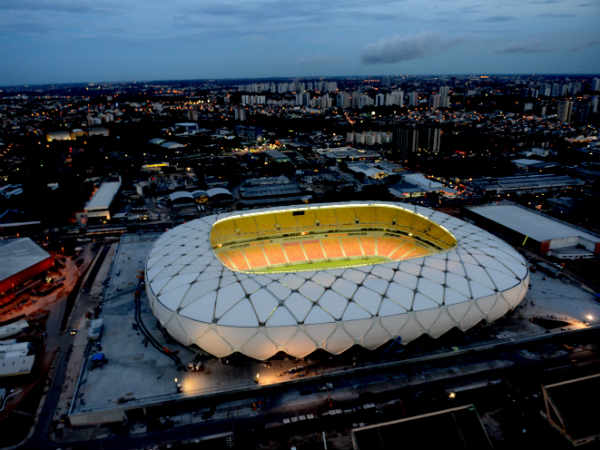 एरिना एमोजोनिया 