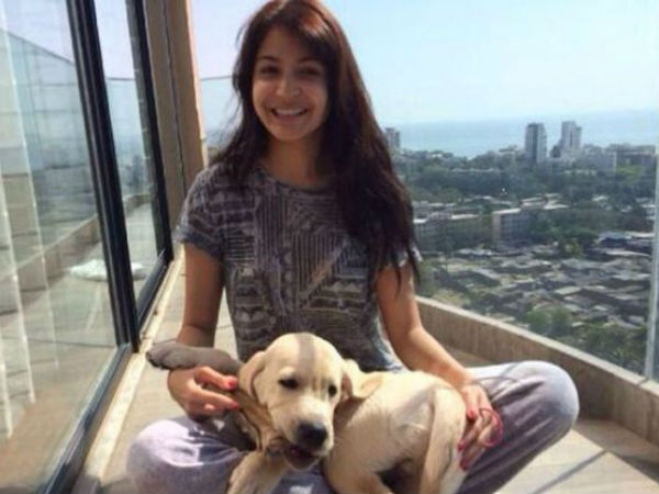 Not Virat Kohli, Anushka Sharma love-locked for another Dude