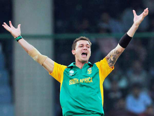 डेल स्टेन