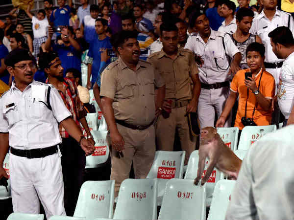 IPL-9: मैच के दौरान भूकंप से हिला था ईडन गार्डन