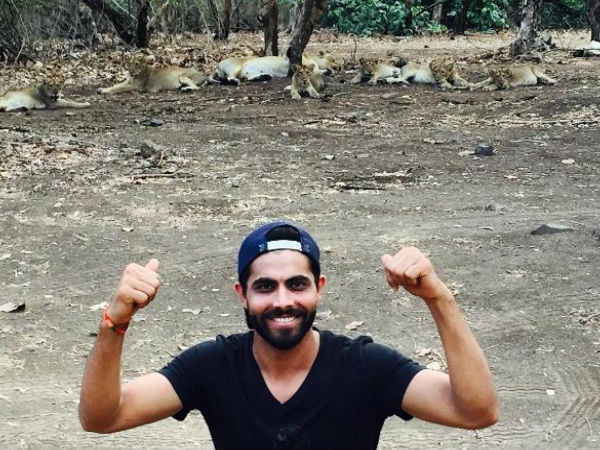 शेर संग सेल्फी: जांच रिपोर्ट आई नहीं, 20 हजार देकर 'छूट गए' जडेजा