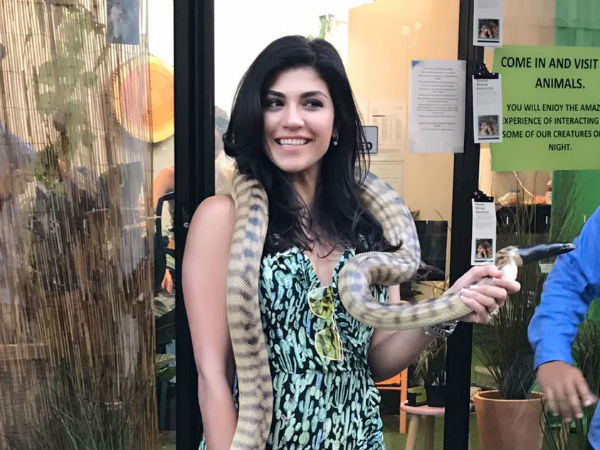 विराट क्यू कार्ड में लिखे जवाबों... 