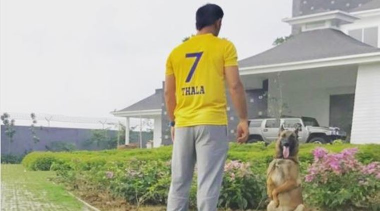 चेन्नई सुपरकिंग्स टीम की IPL में वापसी, धोनी ने किया वेलकम