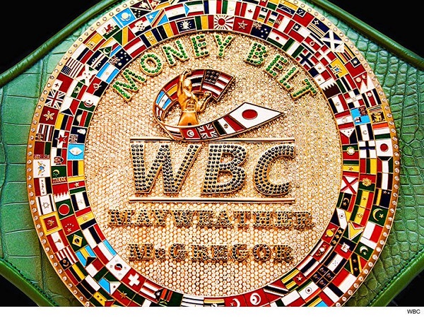 मगरमच्छ के चमड़े से बनी है मनी बेल्ट