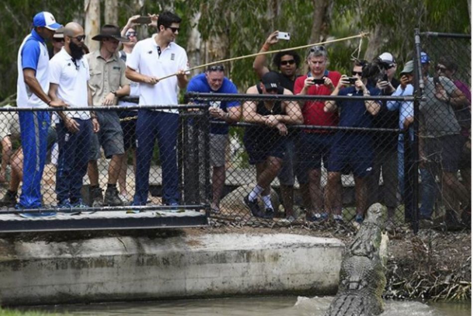 एशेज सीरीज से पहले मगरमच्छ के पास क्यों पहुंचे इंग्लैंड के धाकड़ खिलाड़ी? देखें वीडियो