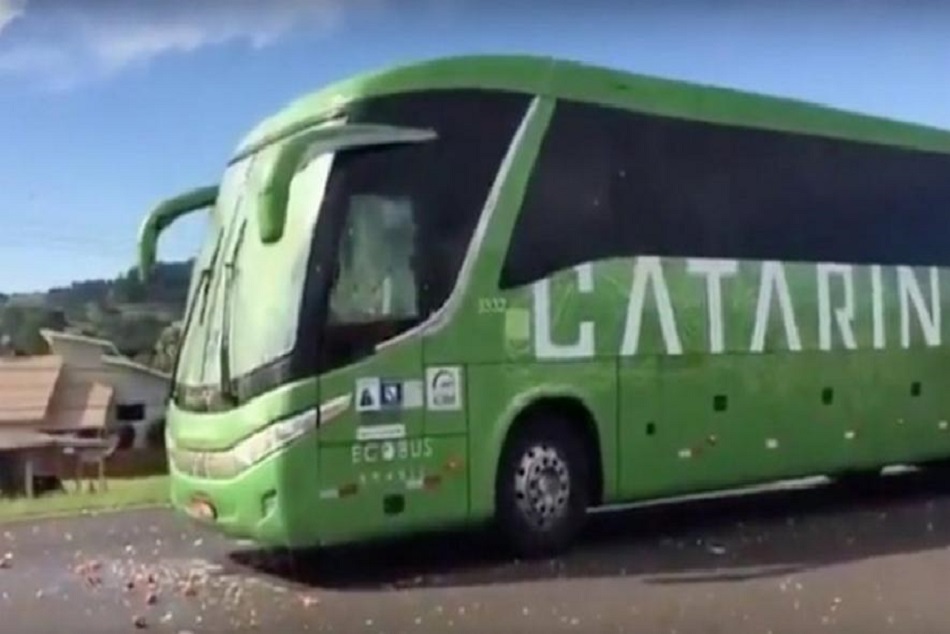 VIDEO: फैंस के गुस्से का शिकार हुई ब्राजील की टीम, बस पर बरसाए पत्थर, फेंके अंडे