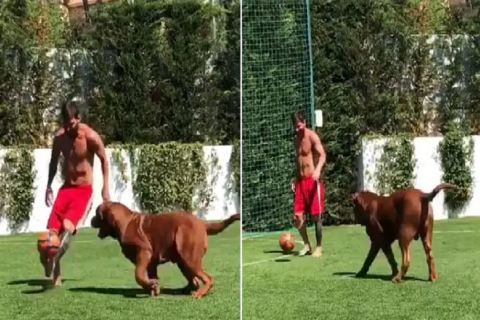 लियोन मेसी ने इस खास 'दोस्त' के साथ इंस्टाग्राम पर शेयर किया Video, मिले 55 लाख से ज्यादा Views