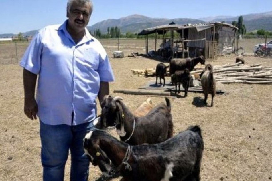 फुटबॉल क्लब ने 18 खिलाड़ियों को बेचकर खरीदी 10 बकरियां, ये है वजह