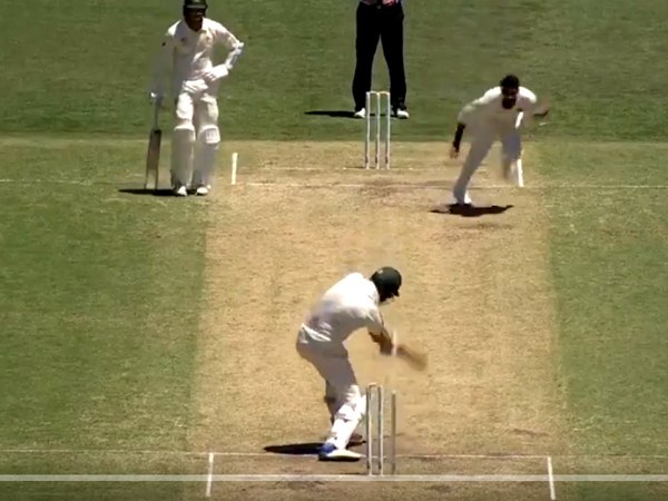 कंगारूओं को चेतावनी संदेश