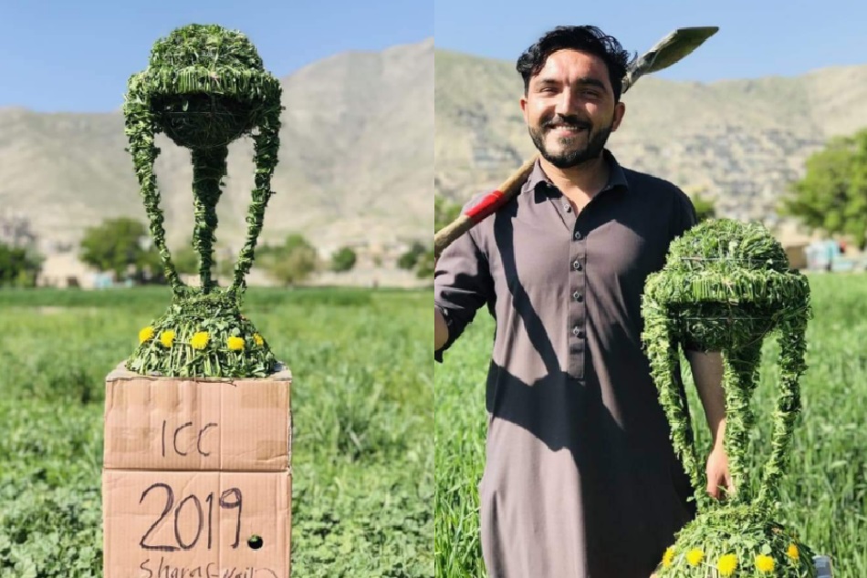 चर्चा का विषय बनी घास से तैयार हुई विश्व कप 2019 की ट्राॅफी, ICC ने शेयर की तस्वीर