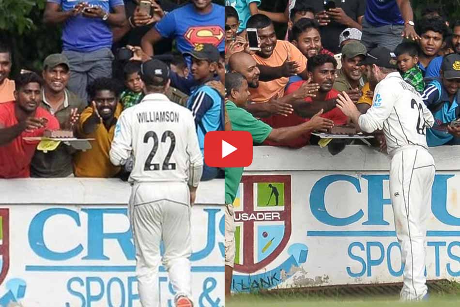 विलियमसन ने श्रीलंकाई फैंस के साथ केक काटकर यूं मनाया जन्मदिन, VIDEO वायरल