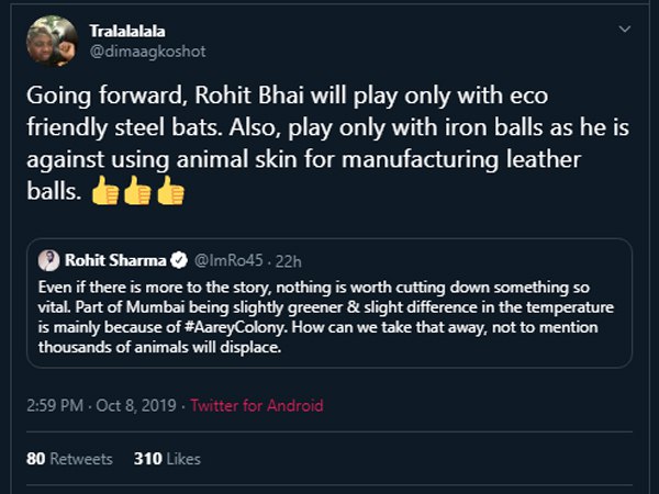 क्रिकेट के लिए बंद करो पानी और पेड़ की बर्बादी