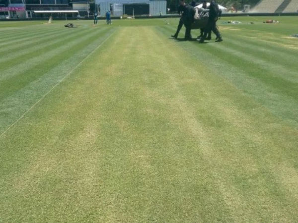 ग्रीन टॉप पिच (The Green Top)