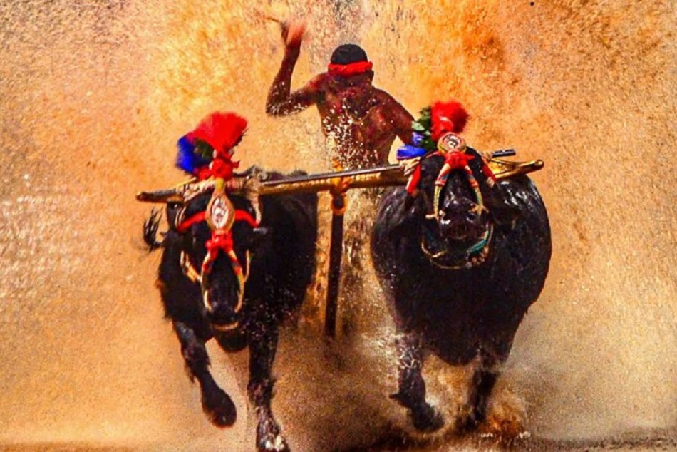 निशांत ने तोड़ा श्रीनिवास गौड़ा का रिकाॅर्ड, महज 9.51 सेकंड में पूरी की 100 मीटर दाैड़