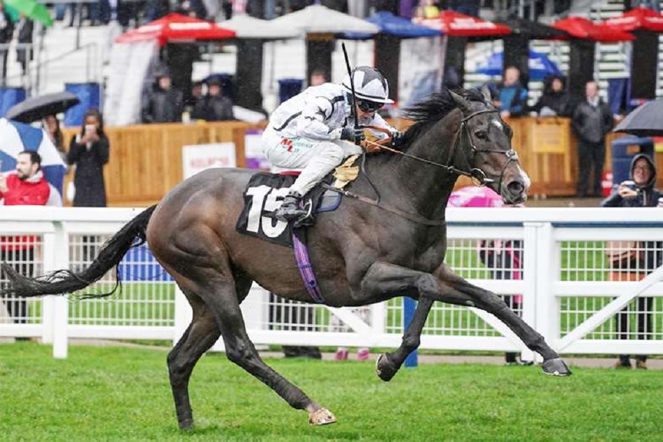 Coronavirus : दुनिया की सबसे महंगी 'हॉर्स रेस' हुई स्थगित, जीतने वाले को मिलने थे 91 करोड़