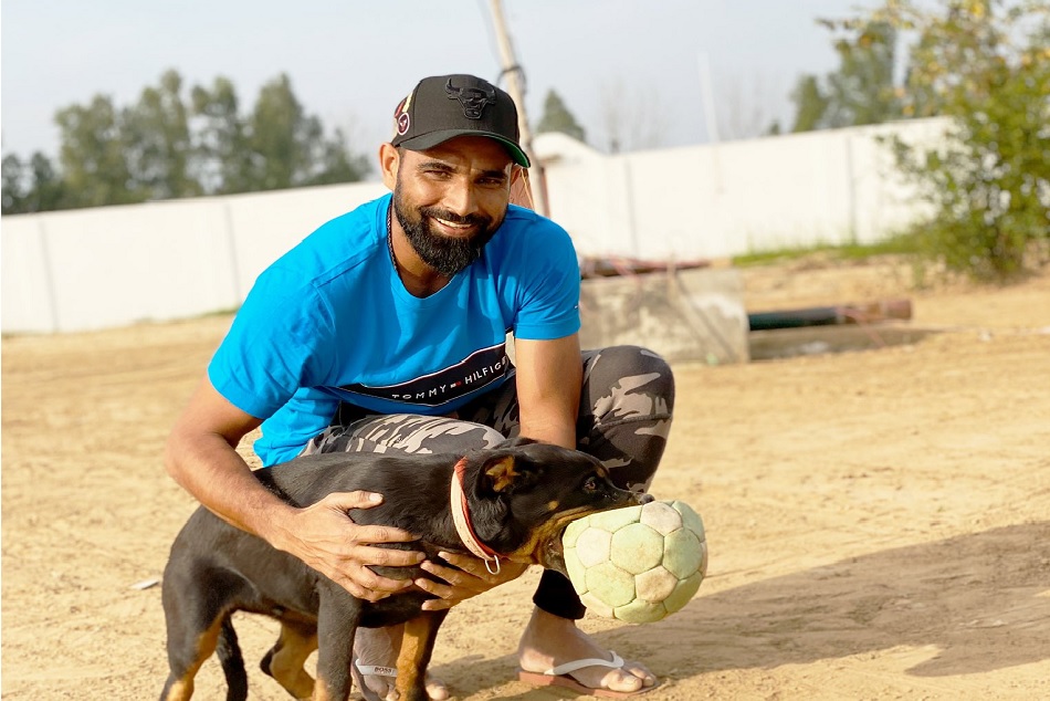 'जैक' के साथ फोटो शेयर कर बुरे फंसे मोहम्मद शमी, ट्विटर पर लगी क्लास