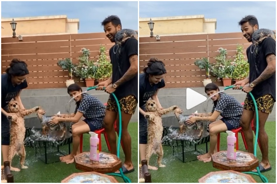 लॉकडाउन में पेट्स नहलाकर फैमिली संग हार्दिक-नताशा कर रहे मस्ती, VIDEO वायरल