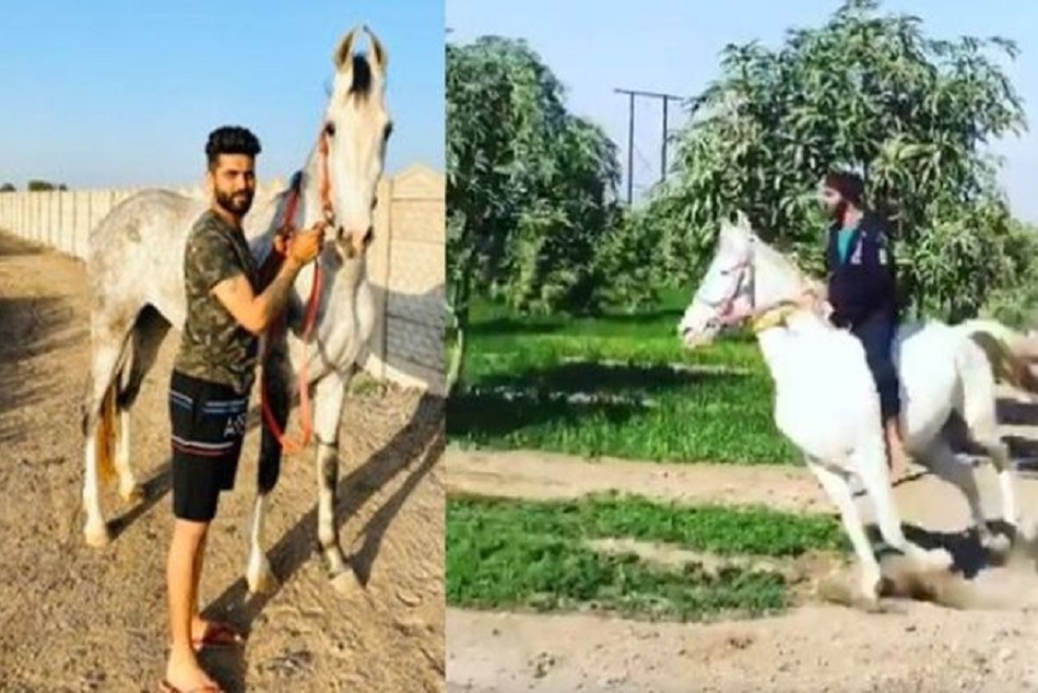 फॉर्म हाउस पर घुड़सवारी करते नजर आए रवींद्र जडेजा, शेयर किया वीडियो