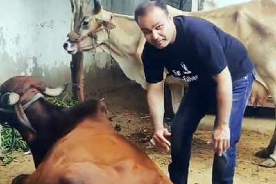 Video: लॉकडाउन में गौसेवा करते नजर आये वीरेंद्र सहवाग, कहा- 'गाय हमारी माता है, हमें कुछ नहीं आता'