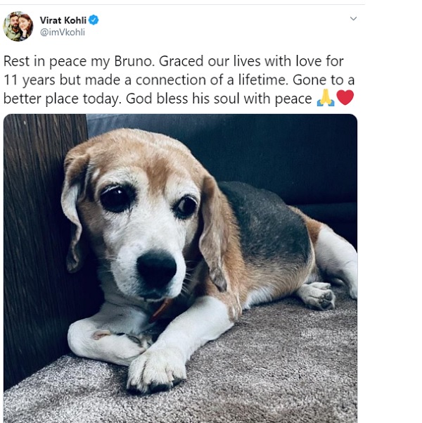 'रेस्ट इन पीस मेरे ब्रूनो'