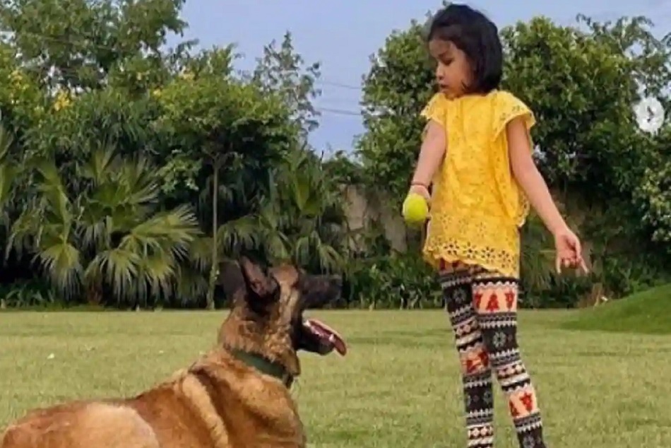 डॉग के साथ गेंद से खेलते हुए नजर आई धोनी की बेटी जीवा, देखें वीडियो