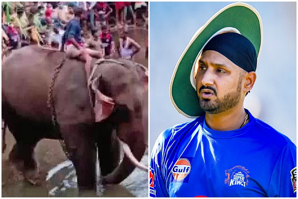 'ऐसी क्रूरता कैसे की जा सकती है', हरभजन ने उठाई अपराधी को सजा देने की मांग