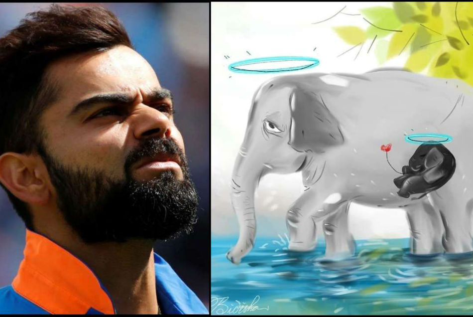 गर्भवती हथिनी की मौत से सहमे विराट कोहली, लिखा इमोशनल मैसेज