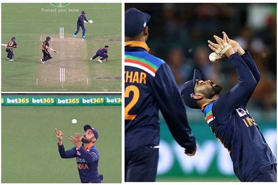 गलतियों की कॉमेडी: कोहली के ड्रॉप कैच पर भी भारत को मिल गया विकेट-VIDEO