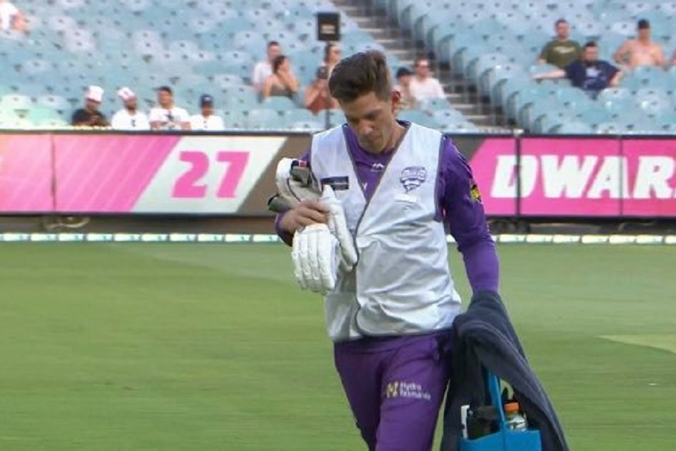 Tim Paine