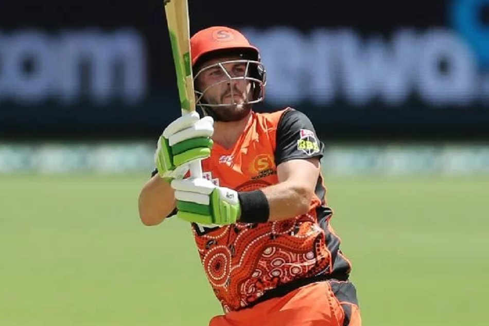 रिकी पोंटिंग ने ऑस्ट्रेलिया को दी सलाह, T-20 विश्व कप के लिए इसे चुनें विकेटकीपर बल्लेबाज