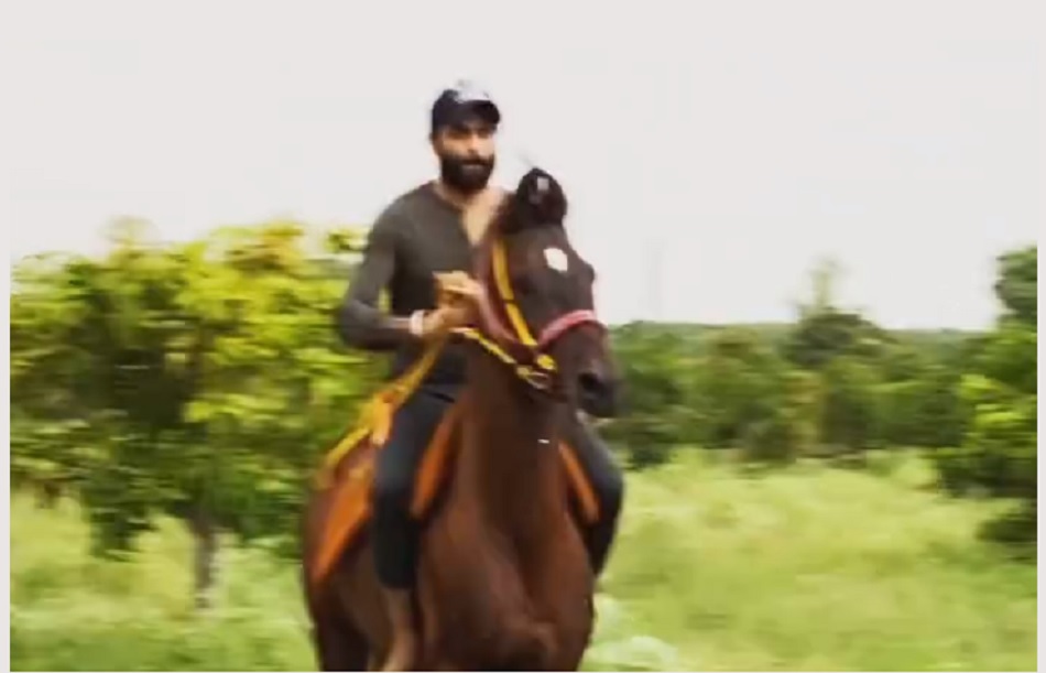 ब्राउन कलर के शानदार घोड़े पर हरे मैदान में रविंद्र जडेजा ने दिखाया घुड़सवारी का हुनर- VIDEO