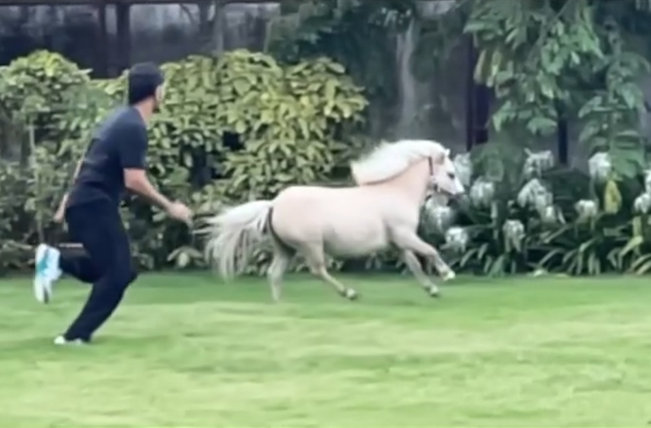 घोड़े के साथ रेस लगाते नजर आए धोनी, साक्षी ने स्लो-मोशन में शेयर किया VIDEO