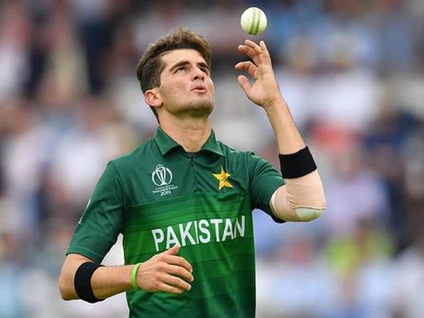 शाहीन चाैंका सकते हैं