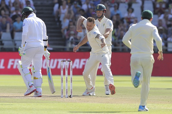 4. डेल स्टेन