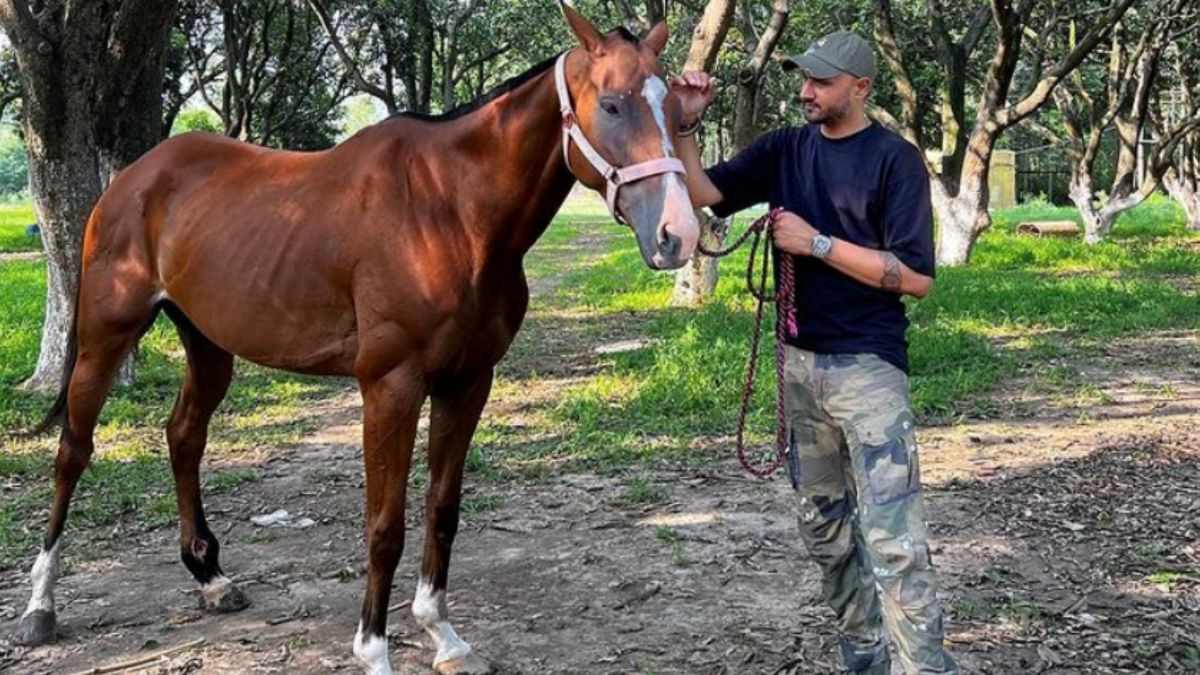 हरभजन सिंह ने अपनी नई दोस्त का नाम बताया, सोशल मीडिया पर पोस्ट किया फोटो